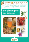 Des plantes pour nos boissons