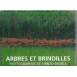 Arbres et brindilles ; O kumikawa ; Les Alpes nipponnes