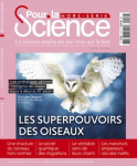 Les superpouvoirs des oiseaux