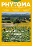 Dossier : Diversification, les enjeux