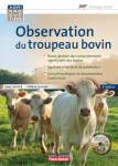 Observation du troupeau bovin