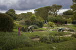 Changement climatique : les jardins botaniques cultivent la résilience